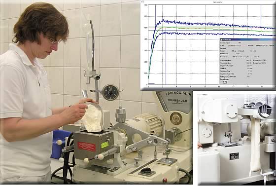 Ein Mann prüft Mehl im Labor - Abbildung des Gerätes und einer Meßwertkurve